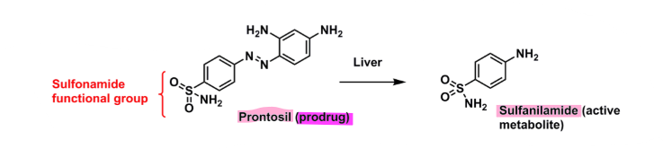 <ul><li><p>prontosil is <strong>prodrug</strong></p></li><li><p>sulfanilamide is <strong>active metabolite</strong></p></li></ul>