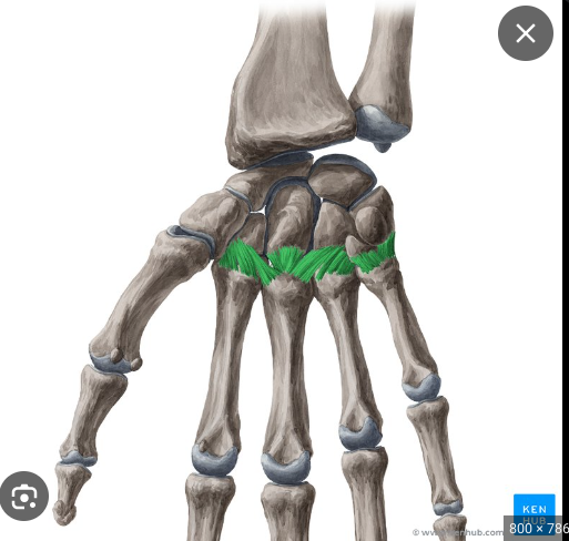<p>What is this joint called?</p>