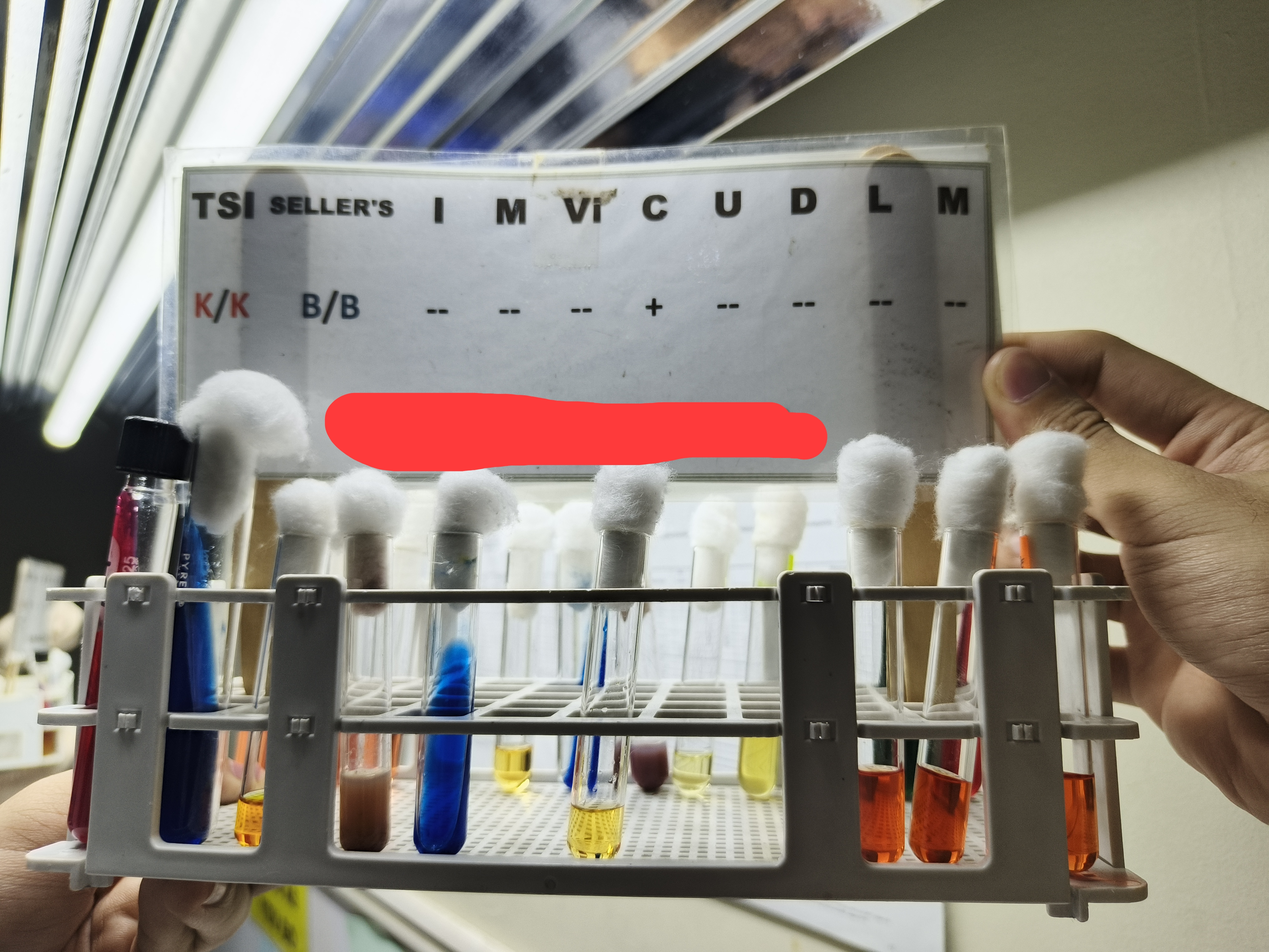<p>Identify </p>