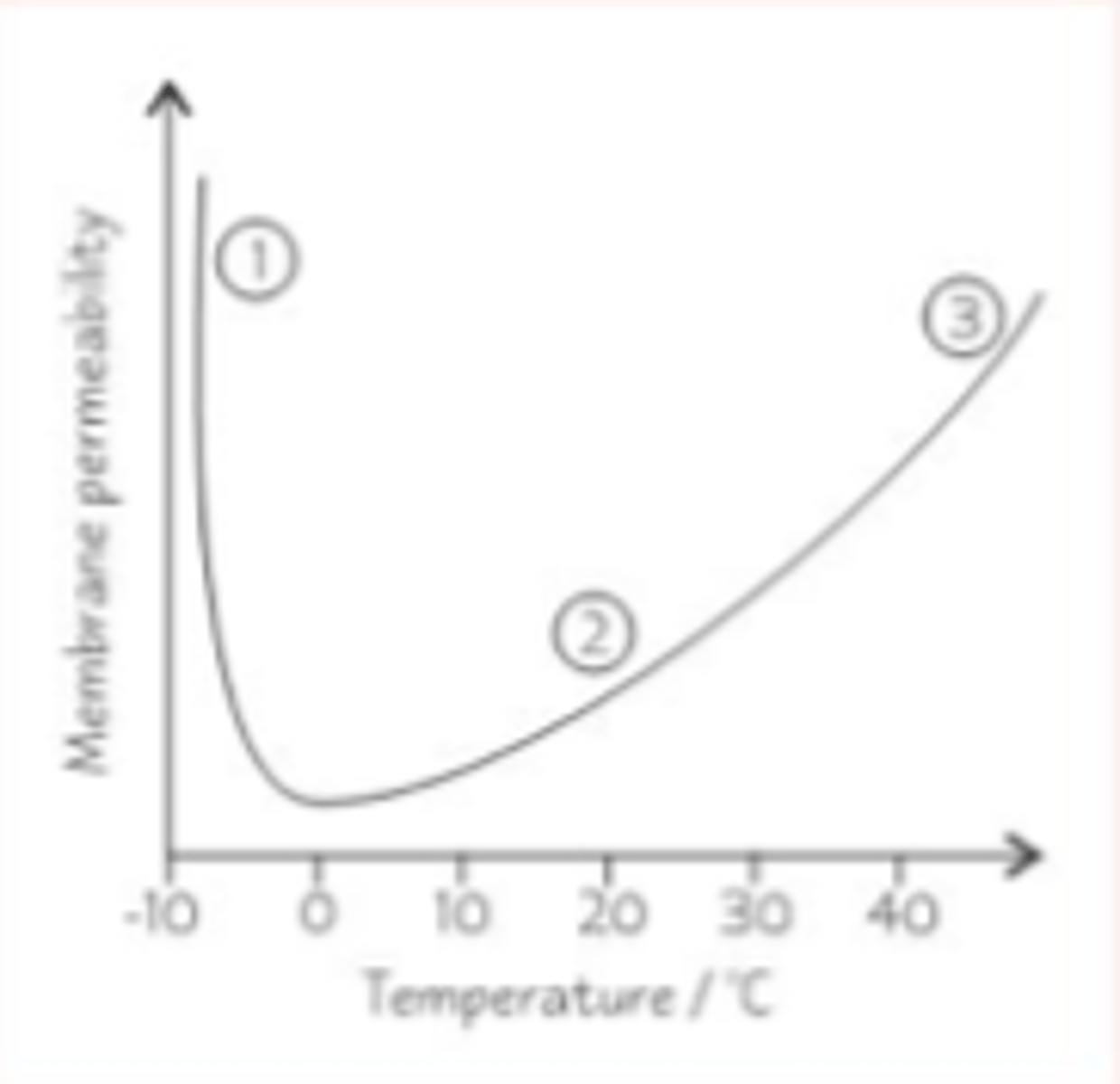 <p>Permeability increases with temperature</p><p>- Below zero degrees, the phospholipids have little kinetic energy, so are rigid. However, transport proteins will be deformed, increasing permeability. Ice crystals may also form and pierce the membrane, further increasing permeability.</p><p>- Between 0 and 45 degrees, phospholipids gain more kinetic energy and pack less closely together, increasing permeability.</p><p>- Above 45 degrees, the phospholipid bilayer will begin to melt and the transport proteins will deform increasing permeability. Water molecules inside the cell will expand, putting pressure on the membrane</p>