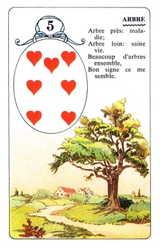 <ol start="5"><li><p><strong>Tree</strong></p></li></ol><p></p>