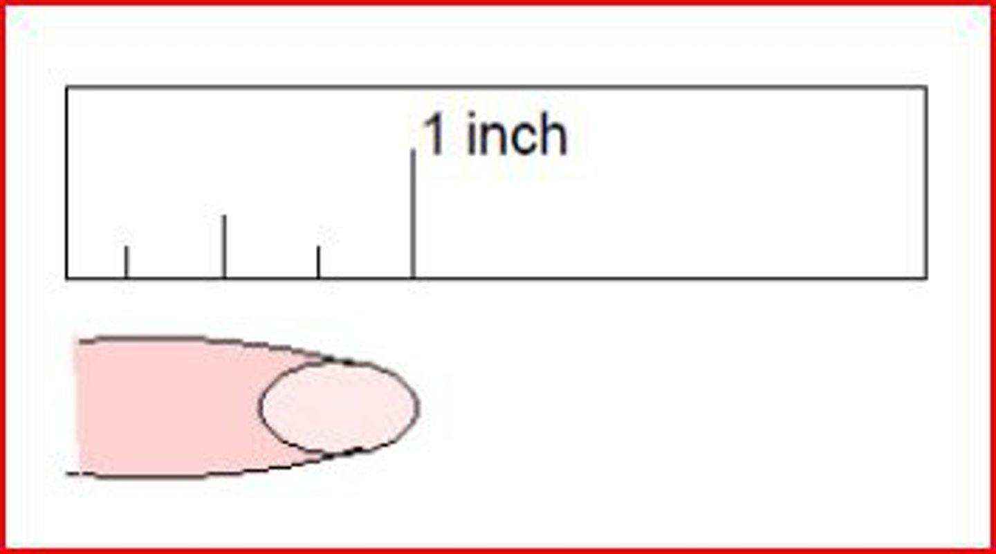 <p>A customary unit of length.</p><p>12 inches = 1 foot.</p>