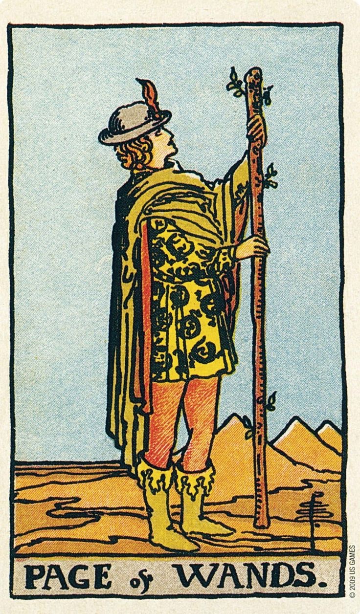 <p>Paź 🔥</p>