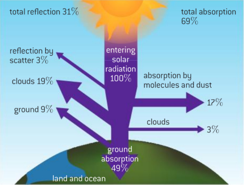 <ul><li><p>In the Sky/Atmosphere</p><ul><li><p>31% - Total Reflection</p></li><li><p>69% - Total Absorption</p></li></ul></li></ul><p>Entering Solar Radiation</p><ul><li><p>49% is absorbed by the Earth’s ground</p></li><li><p>17% is absorbed by molecules and dust</p></li><li><p>3% is absorbed by clouds</p></li><li><p>19% is reflected by clouds</p></li><li><p>9% is reflected by the ground</p></li><li><p>3% is reflected by scatter</p></li></ul>