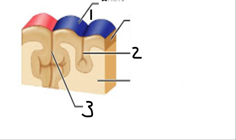 <p>3</p>