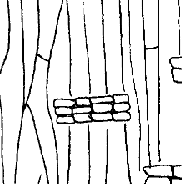 <p>wgwhat is this</p>