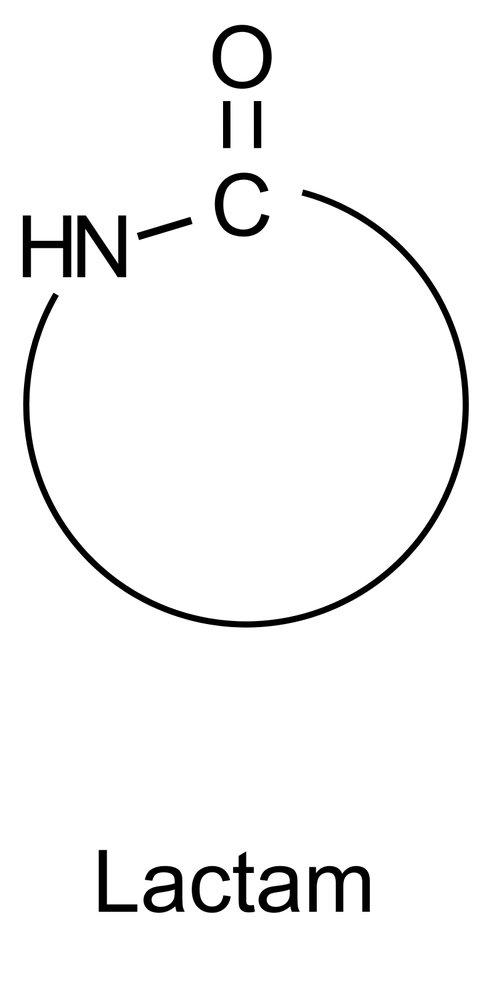 <p>A. The compound has a lactam ring (cyclic amide).</p>
