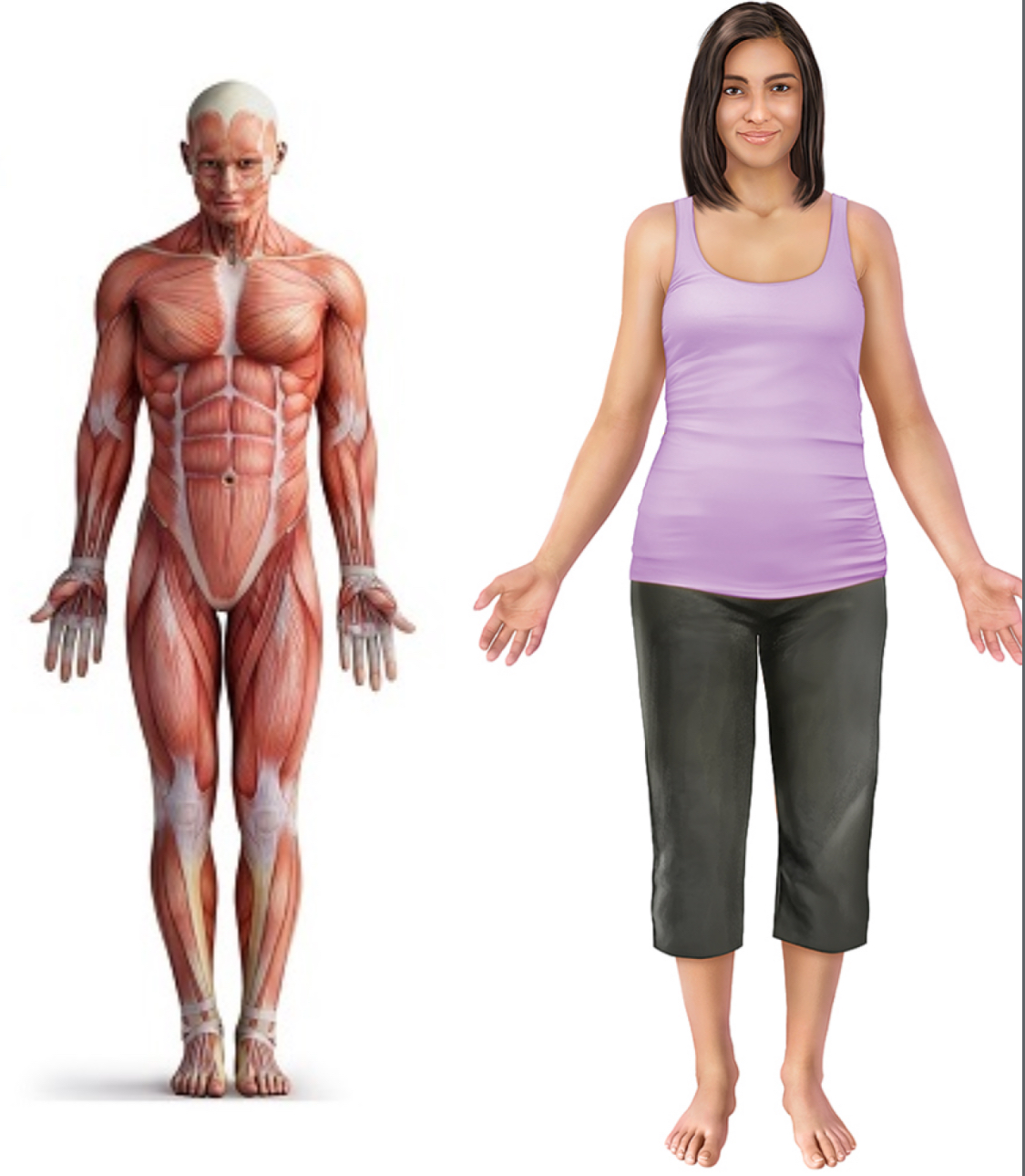 <p>person is standing, palms facing forward, arms at side, and facing forward </p>