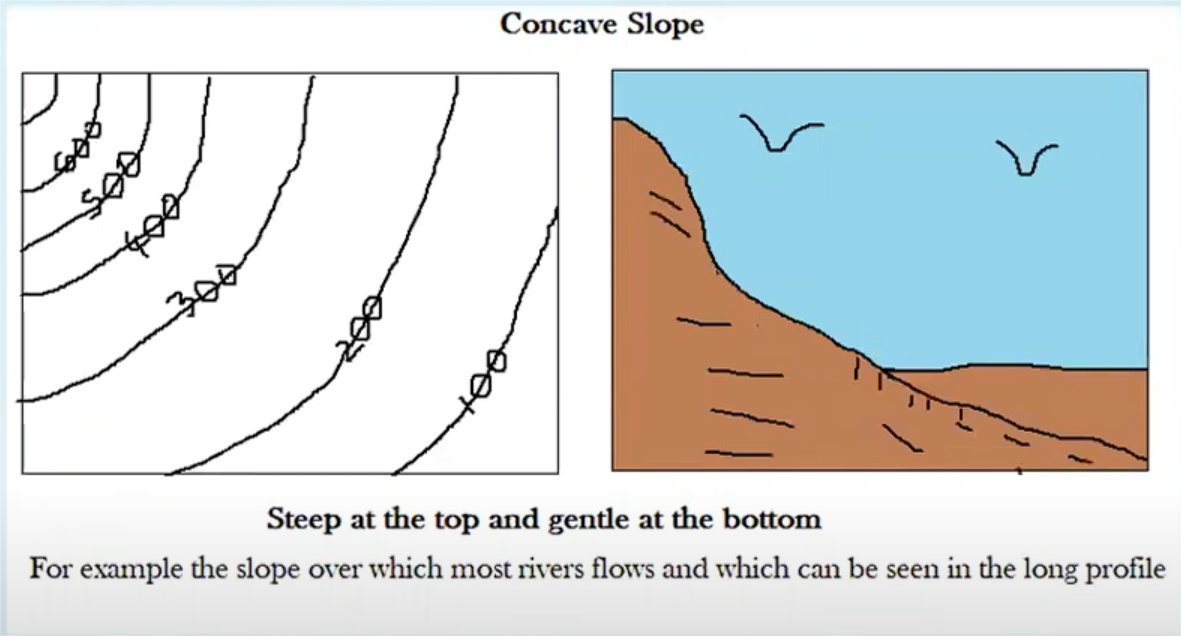 <p>steeper at the top than at the bottom</p>