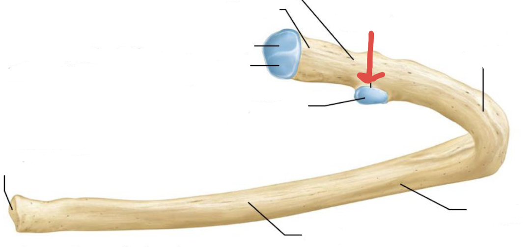 <p>what is this?</p>