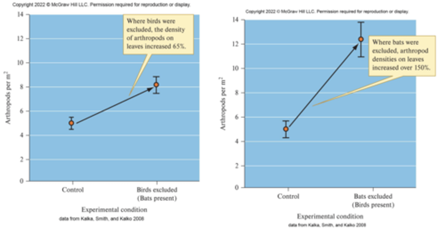 <p>Compared to controls:</p><p>- Bird exclusion increased arthropods by 65%</p><p>- Bat exclusion increased arthropods by 150%</p>