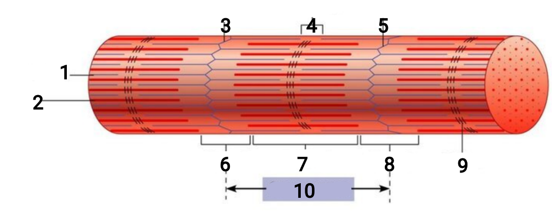 <p>1</p>