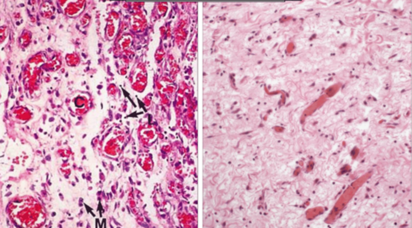 <p>what is happening in these 2 images?</p>