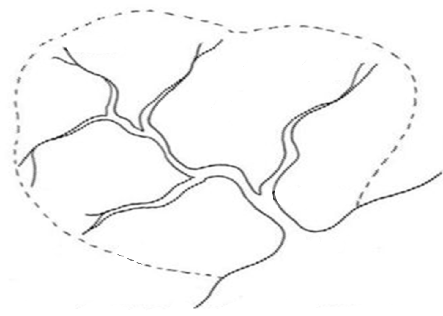 <p><strong>Label this drainage basin diagram </strong></p>