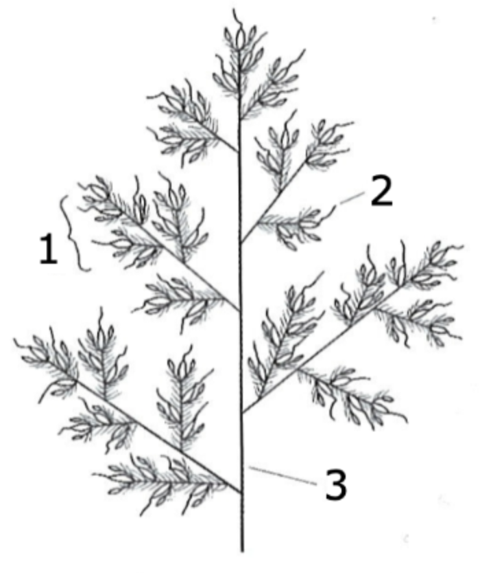 <p>what is 1?</p>