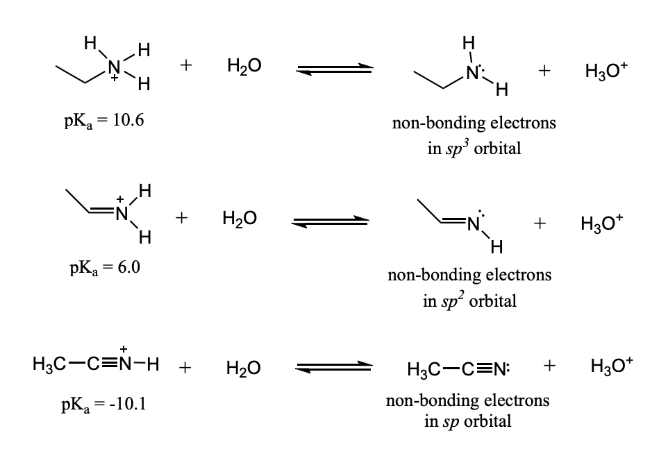 <ul><li><p>The non-bonding electrons remaining in a hybrid orbital after an acid has donated a proton are more stable in a hybrid orbital using more of the s orbital and less of the p orbitals.</p></li><li><p>non-bonding electrons are more stable when they are in: </p><ul><li><p>sp orbital &gt; &gt; sp2 orbital &gt; sp3 orbital</p></li></ul></li><li><p>because the 2s orbital is lower than the 2p orbital</p><ul><li><p>Therefore, an sp orbital is lower in energy than an sp2 orbital, and an sp2 orbital is lower in energy than an sp3 orbital.</p></li></ul></li></ul><p></p>