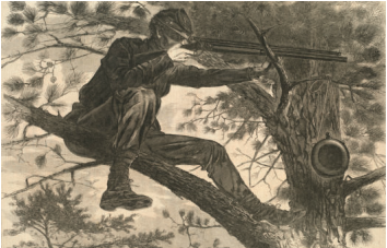 <p>Label the Illustrator</p>