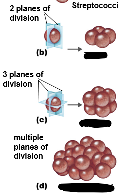 <p>B to D</p>