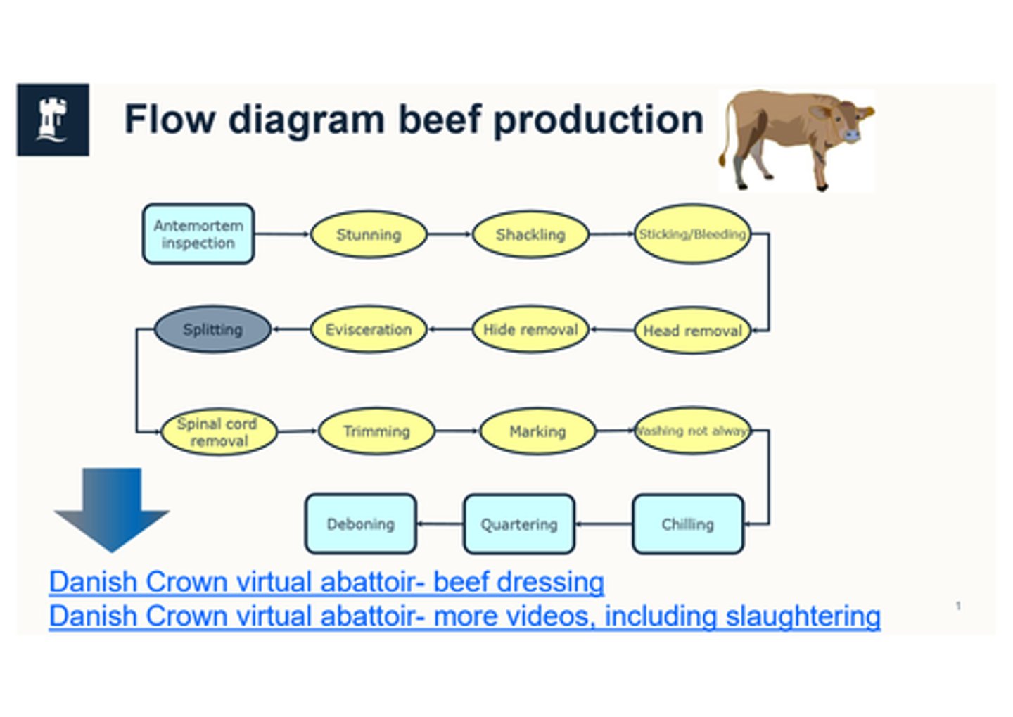 <p>Ante-mortem inspection (on every single animal by OV but remember it is not a clinical exam) --> stunning --> shackling (to lift up) --> bleeding (method of kill, pithing not allowed in food chain) --> head removal --> hide (skin) removal --> evisceration --> splitting --> spinal cord removed --> trimming (slaughtermen correcting carcass for any contamination left) --> post-mortem inspection/marking (marked for post-mortem inspection, what organs/heat belong to which carcass. Health mark only applied when carcass deemed fit for human consumption and an identification mark for traceability) --> washing (not much cause we remove their skin) --> chilling --> quartering and deboning (only done in other side of plant/other plant but mostly without vet, vet only does monthly audit of this step to check for good hygiene).</p>