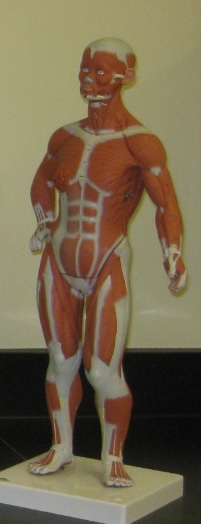 <p>Level 6</p>