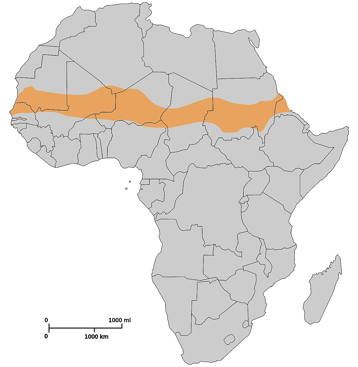 <p>Below the Sahara (central) far right and left are on coast</p>