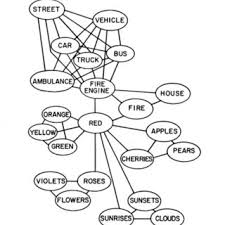 <ul><li><p>network of representations </p></li><li><p>Info is represented as a network, and connections can spread and activate other nodes </p><ul><li><p>Ex. Car to fire truck to red to strawberry</p></li><li><p>explains how we understand “hints” </p></li></ul></li><li><p>Networks help us understand why factors work, and they create and strengthen node connections </p></li></ul><p></p>
