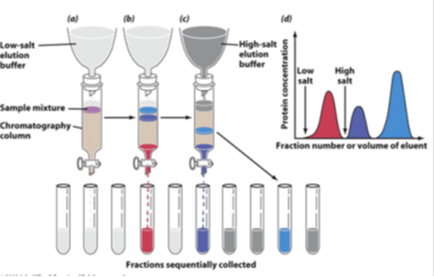 <p>1. mobile anions held near cations that are covalent attached to stationary phase</p><p>2. anion-exchange resin; only anions can be attracted to it</p>