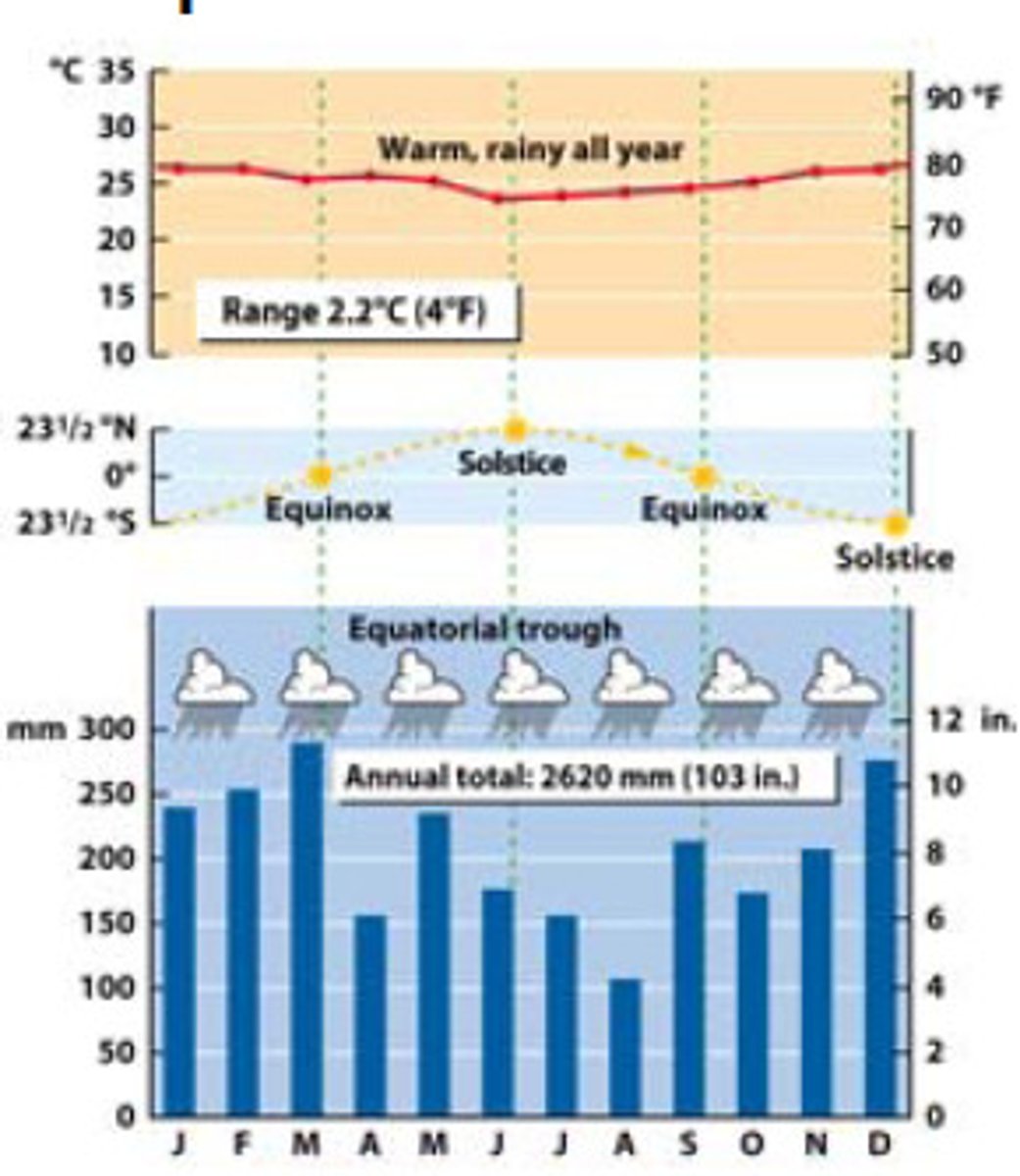 <p>The constantly hot and wet climate of regions near the Equator.</p>