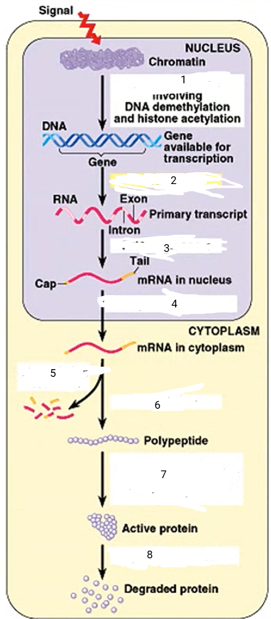 <p>2</p>
