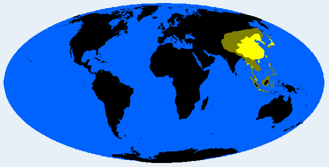 <p>Sinid</p>