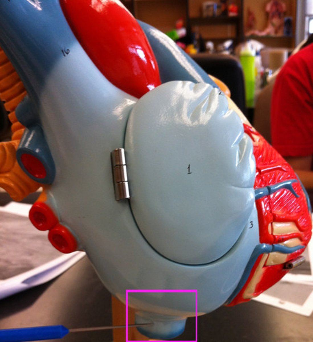 knowt flashcard image