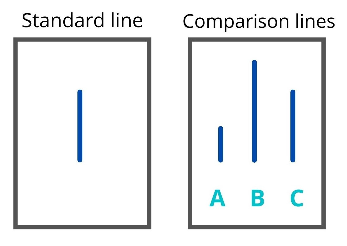 <p>3 comparison lines & 1 target line </p>