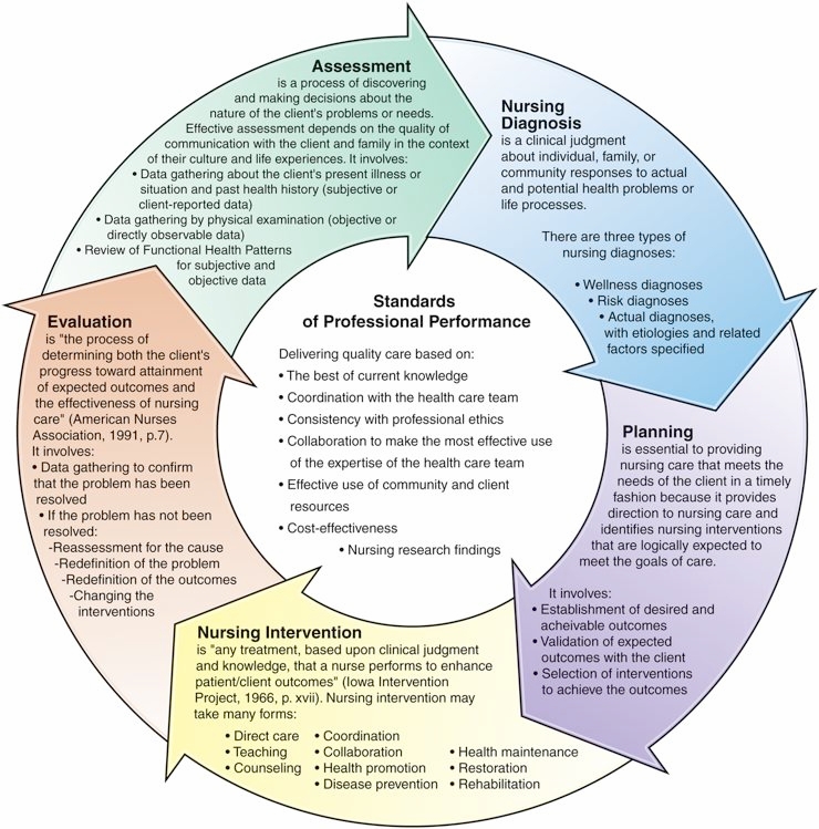 <p>What is the correct order of the Nursing Process?</p>