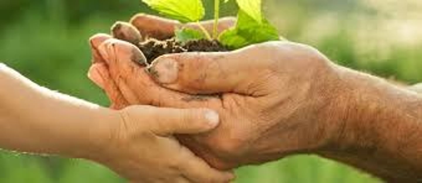 <p>gìn giữ, bảo tồn</p>