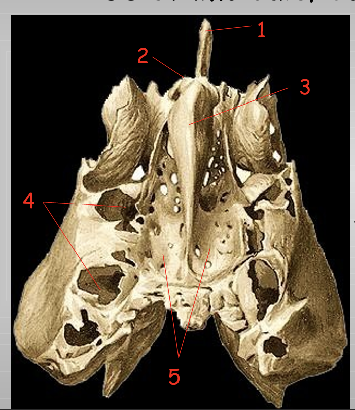 <p>1</p>