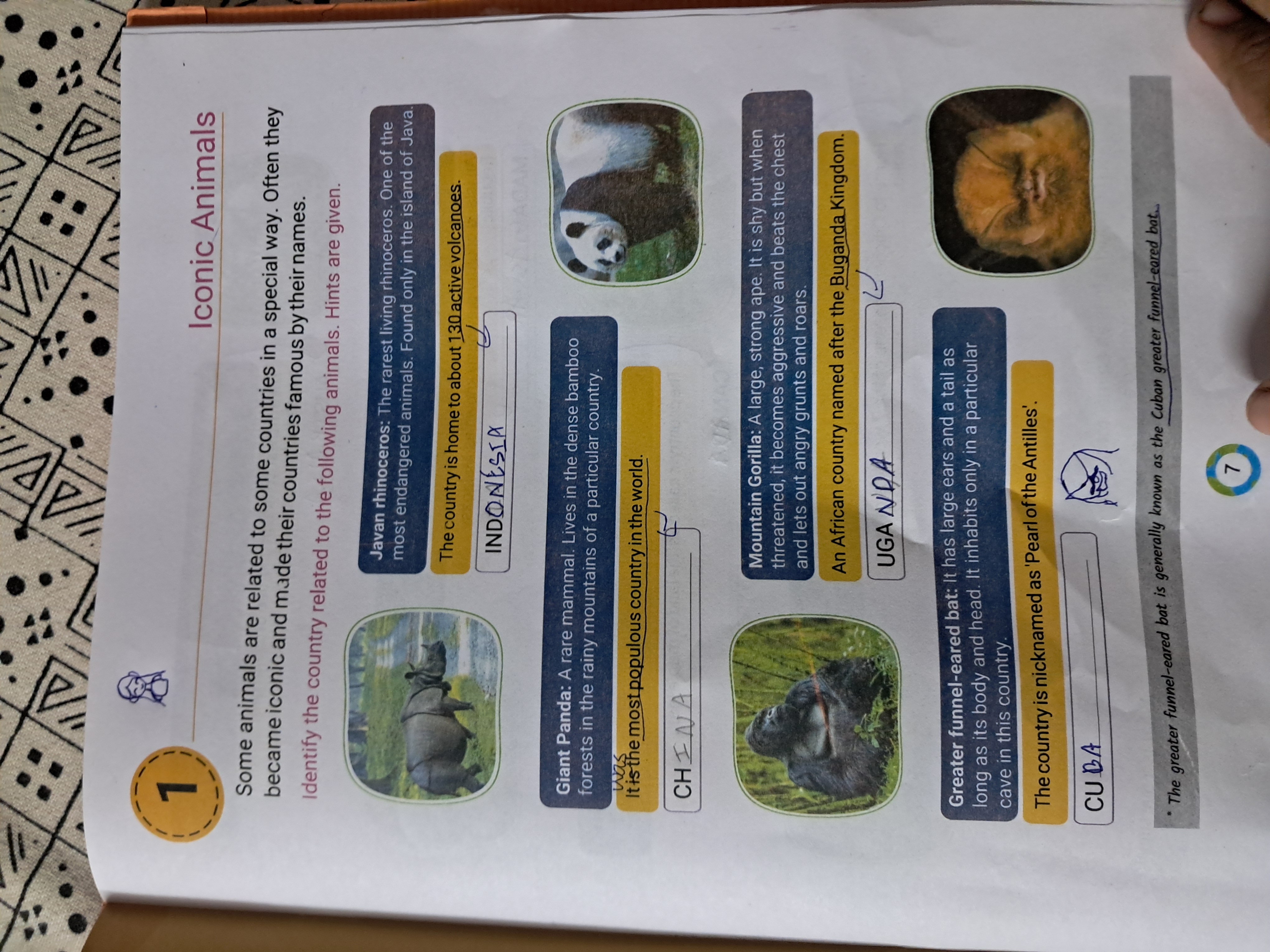 <p>The Mountain Gorilla, a chest-beating ape, is iconic to <strong><em></strong></em>.</p>