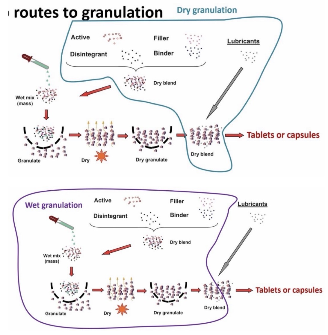 <p>Powders:</p><ul><li><p><strong>API</strong></p></li><li><p><strong>Filler</strong> - provides bulk to the tablet</p></li><li><p><strong>Binder</strong> - sticks together API and excipients</p></li><li><p><strong>Disintegrant</strong> - breaks tablet/capsule up in the body, releasing drug</p></li></ul><p></p><ol><li><p>Dry granulation</p></li></ol><ol start="2"><li><p>Wet granulation</p></li></ol><p></p><p></p>