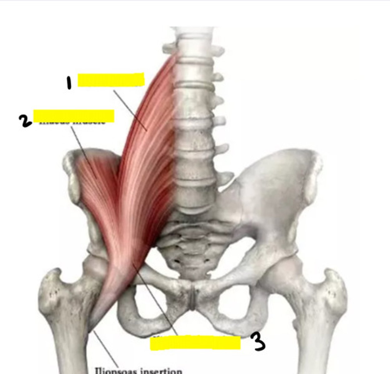 <p>2</p>