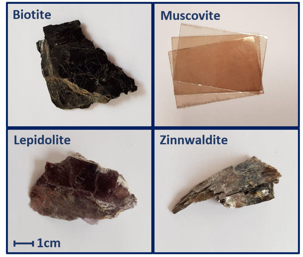 <p>What is the difference between Biotite mica and Muscovite mica?</p>