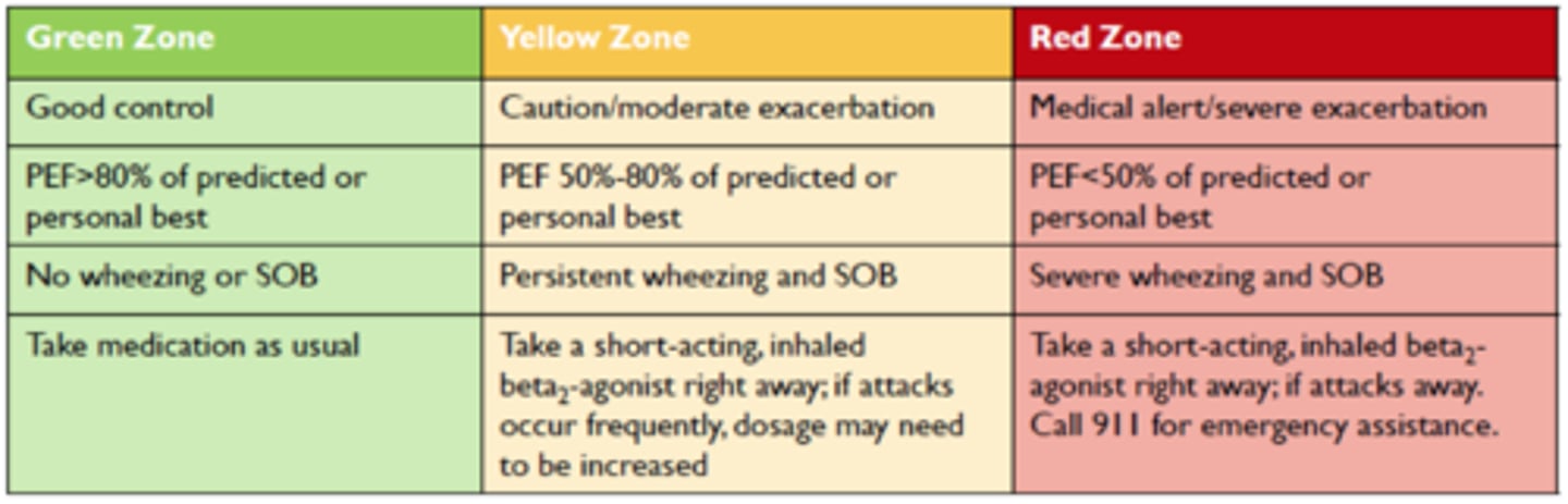 <p>well controlled asthma: need reliver <3 times per week, do not wake up, activities not limited</p><p>getting worse: need reliever more, wake up with asthma, cannot do normal activities</p><p>severe: need reliever more often than 3-4hrs, difficult breathing, wake up with asthma</p>