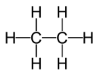 <p>alkane, single bond between carbons</p>