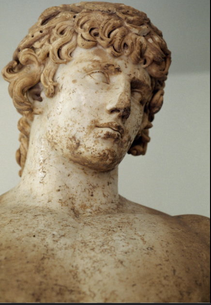 <p>Antinous</p>