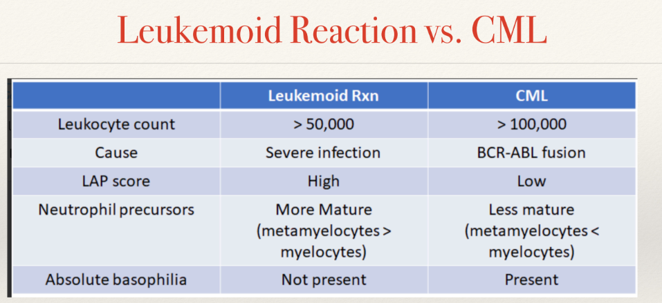 <p>normal: 13-113</p><p>leukemoid LAP is high bc more mature granulocytes to fight infn</p><p>CML LAP is lower bc premature cells </p>
