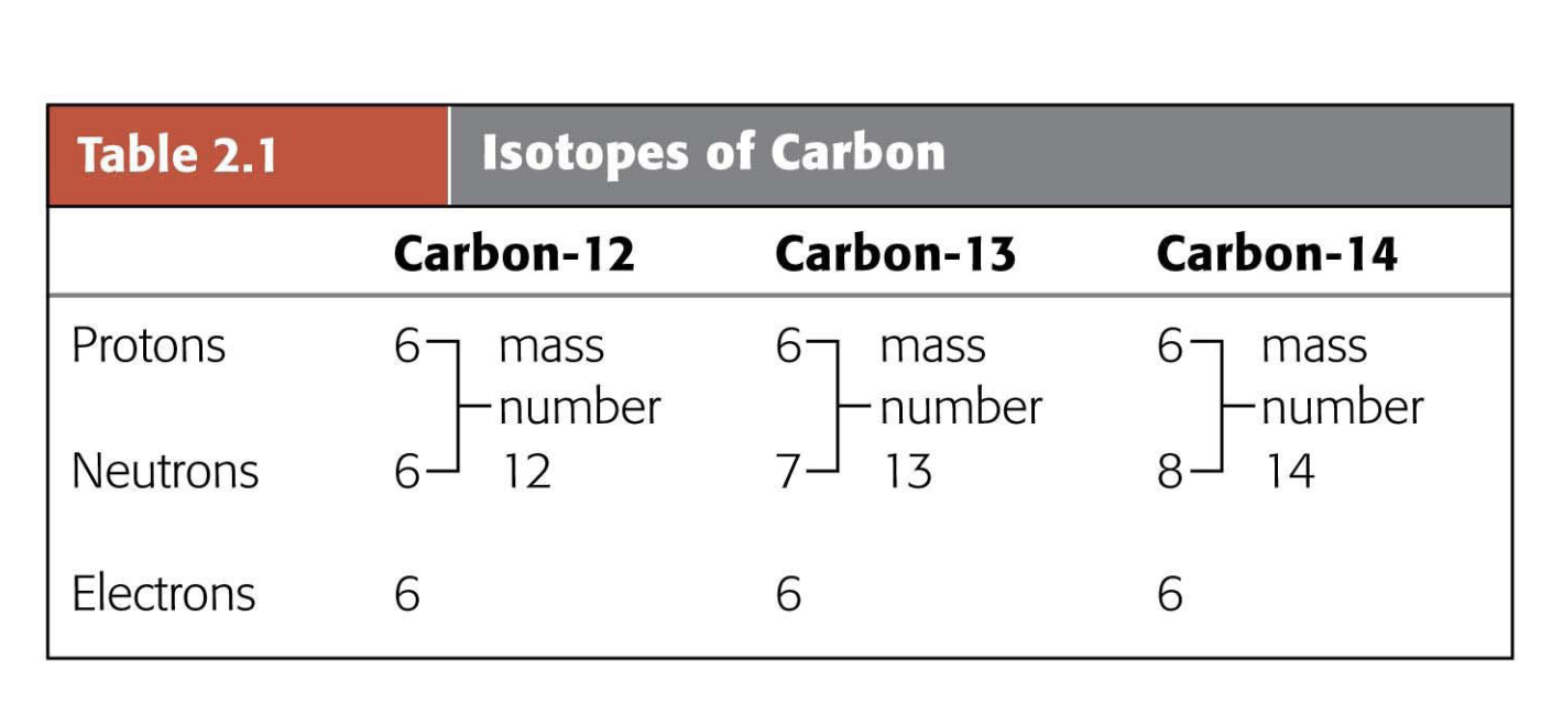 <p>Atoms of the same element with the same number of protons but different numbers of neutrons, which gives different mass numbers</p>