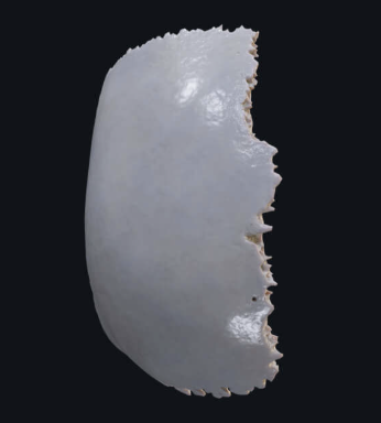 <p>What is this?</p>