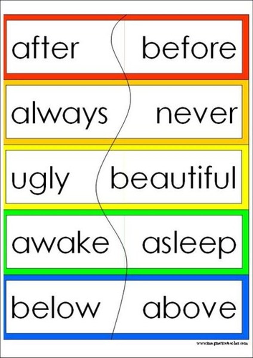 <p>words that are opposites</p>