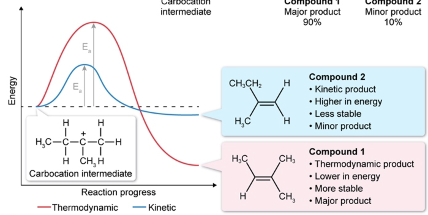 <p>compared to kinetic, thermodynamic is:</p><ul><li><p>MORE stable</p></li><li><p>HIGHER Ea</p></li><li><p>LOWER energy</p></li></ul><p></p>