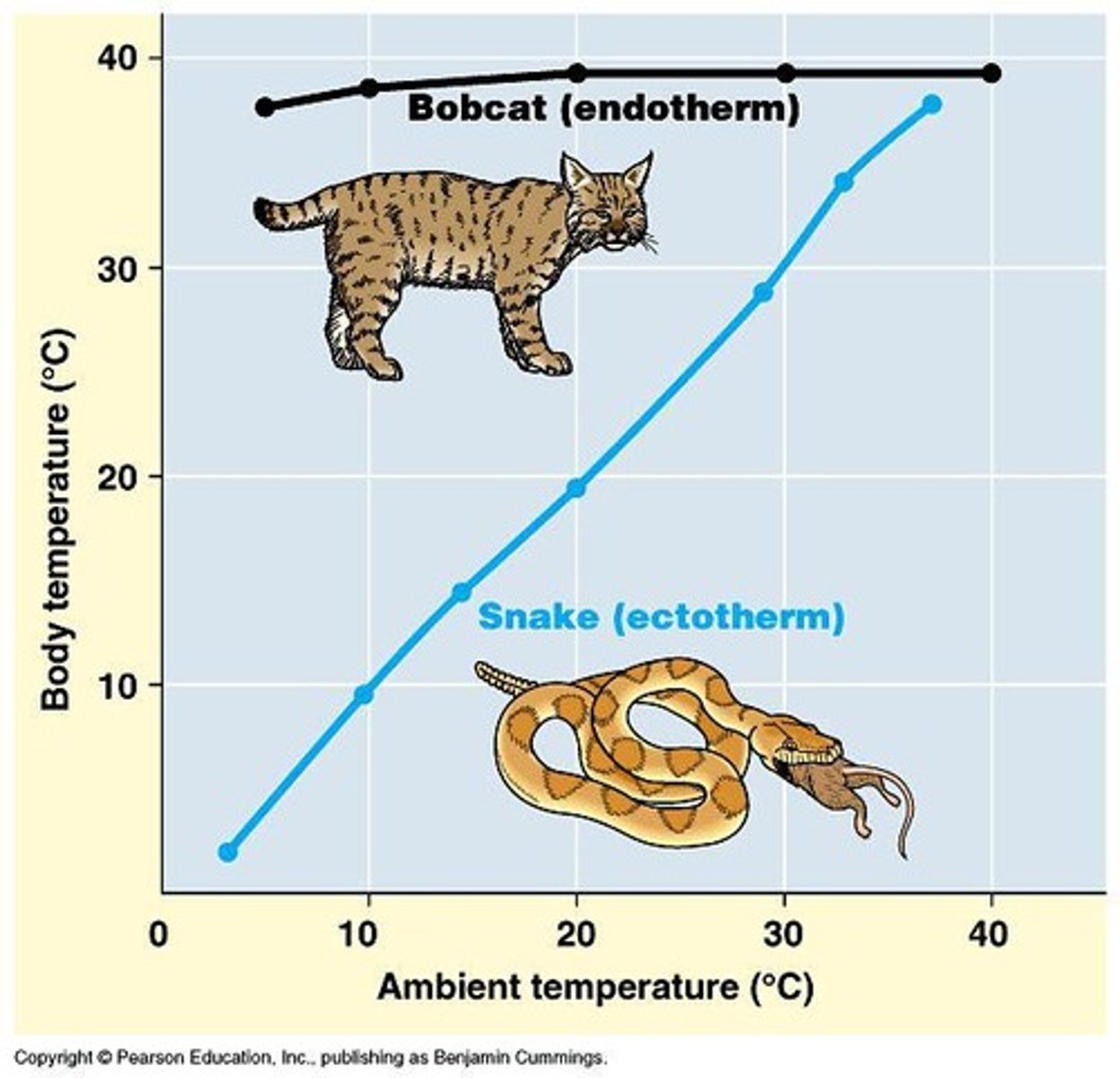 <p>Organisms relying on environmental temperature.</p>