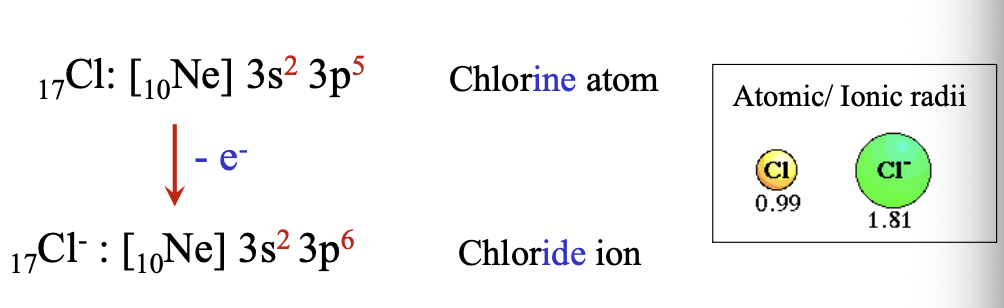 <p>When chlorine atom gains an electron, there are 17 protons and 18 electrons so a negatively charged particle forms a ANION  </p>