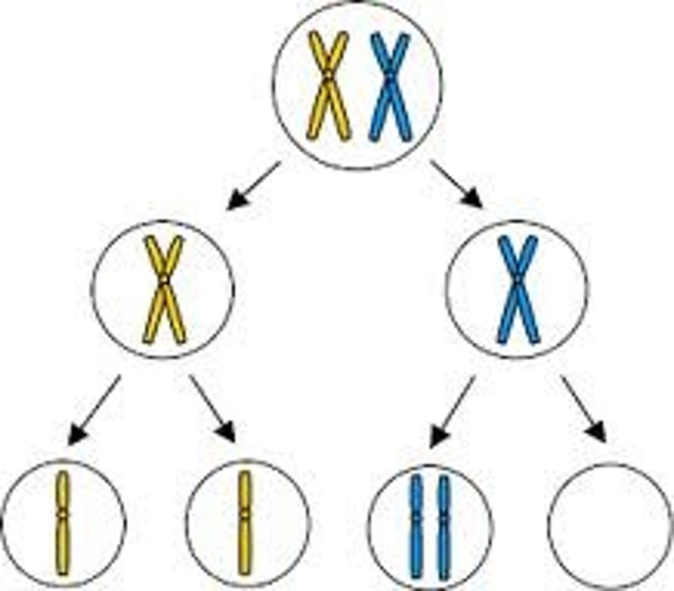 <p>result, consequence, conclusion</p><p>결과</p>